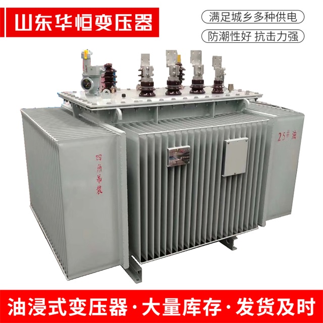 S13-10000/35枝江枝江枝江电力变压器厂家