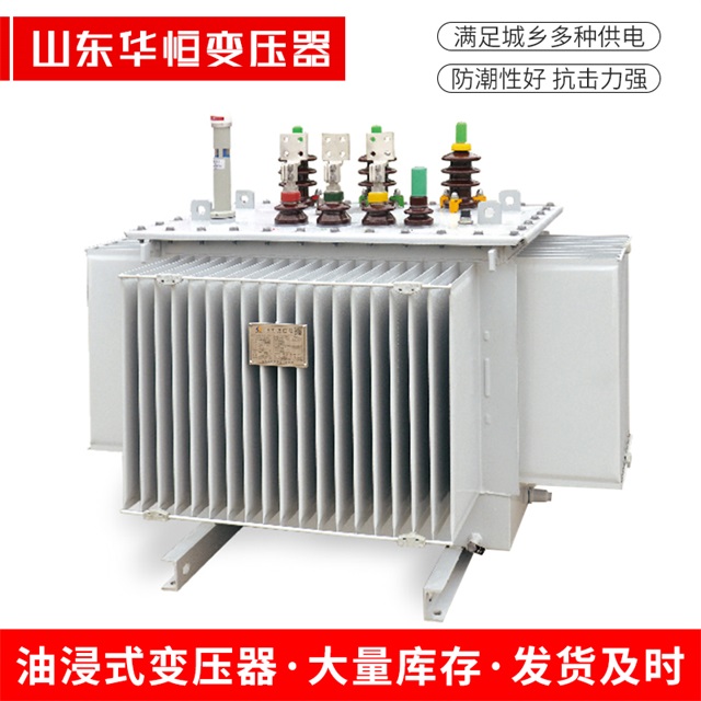 S13-10000/35枝江枝江枝江电力变压器